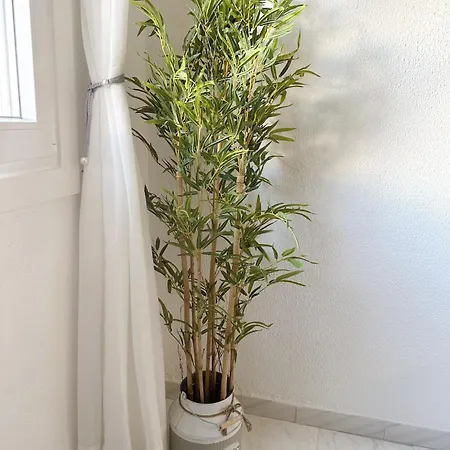 De Matrimonio Homestay Cadiz